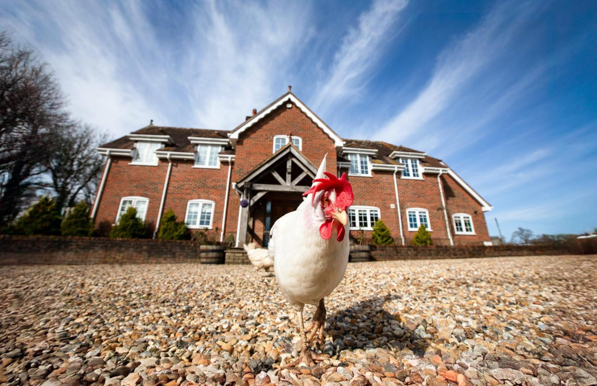 Langford Farmhouse - New Forest National Park Luxury 4Bd, Hot Tub, Cinema, 10 Acres Bartley المظهر الخارجي الصورة
